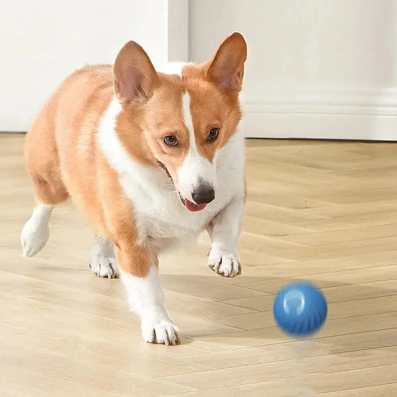 Smart Dog Toy Ball Electronic Interactive Pet Toy Moving Ball USB Automatic - Image 27